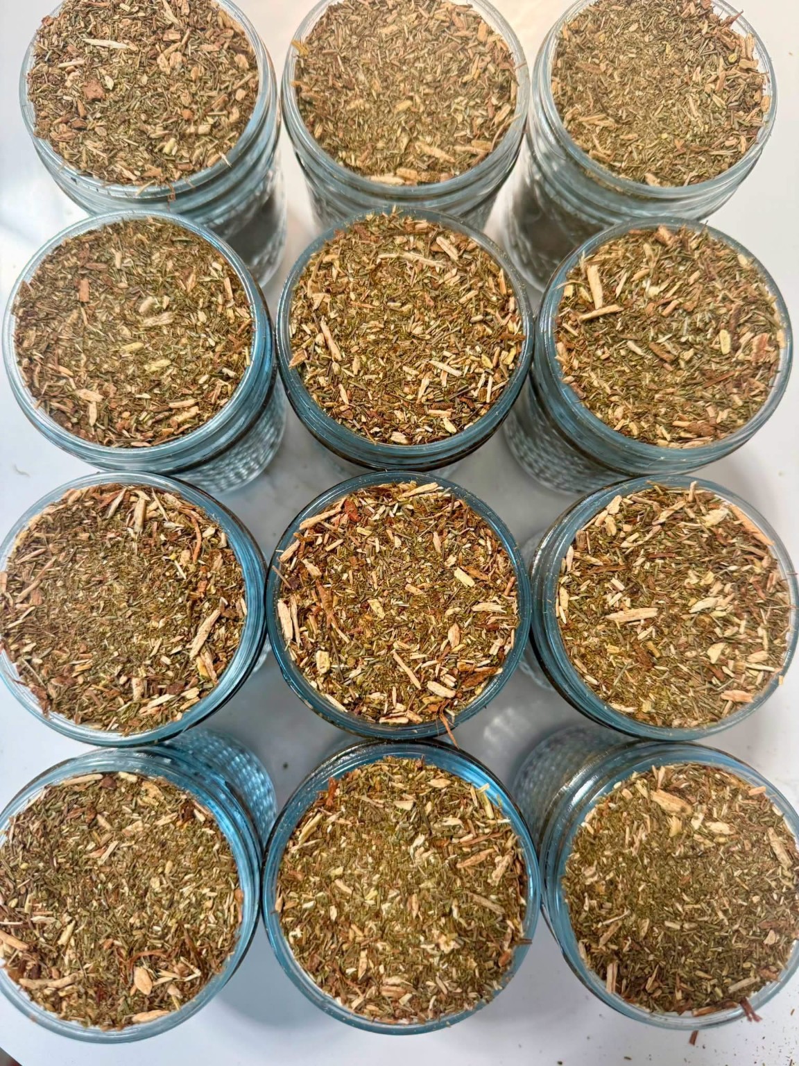 Jars of wildcrafted white pine tea